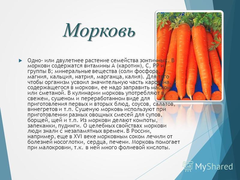 Витамины в моркови