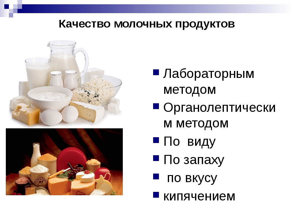 Технология производства кисломолочных продуктов и приготовления блюд из них 6 класс презентация