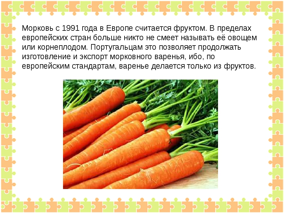 Почему нельзя морковь. Морковь. Интересные морковки. Рассказать о морковке. Доклад о морковке.