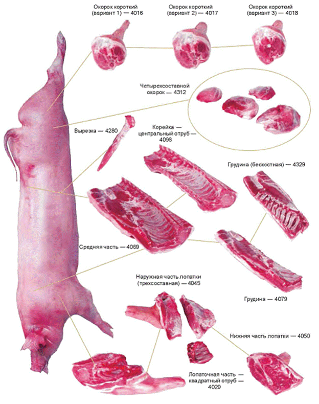 Части мяса свинины