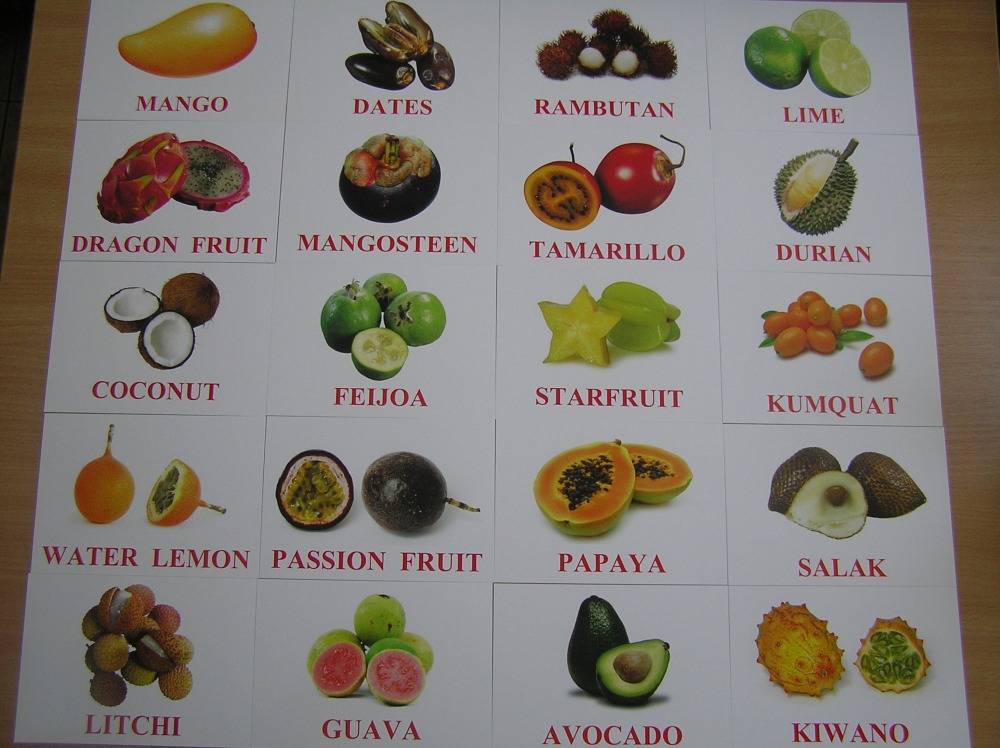 Фото фруктов и их названия. Фрукты названия. Фрукты и ягоды с названиями. Название всех фруктов. Названия фруктов для детей.
