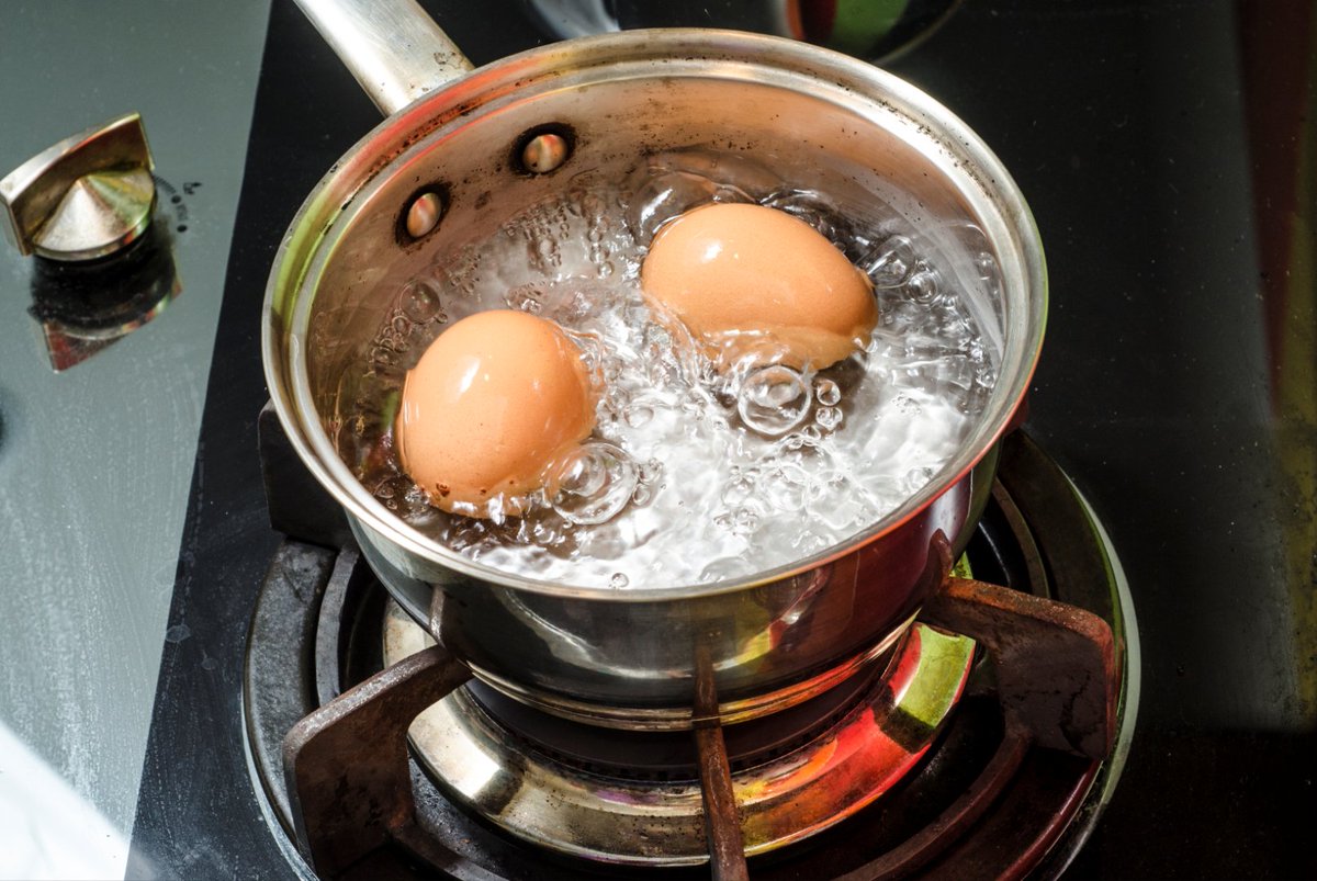 Steam boiling eggs фото 1