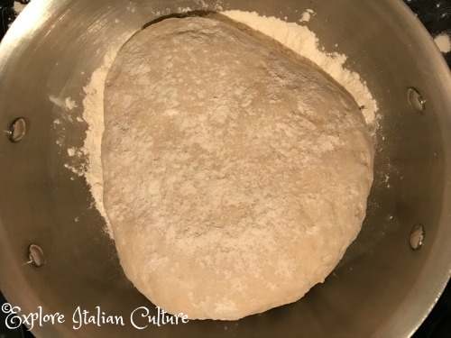 Pizza dough before rising.